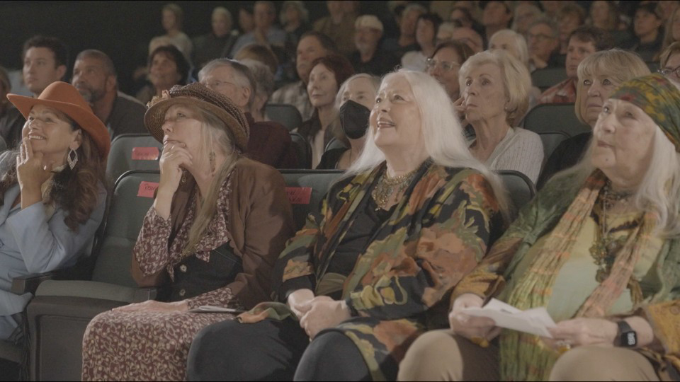 Perspectives from Members